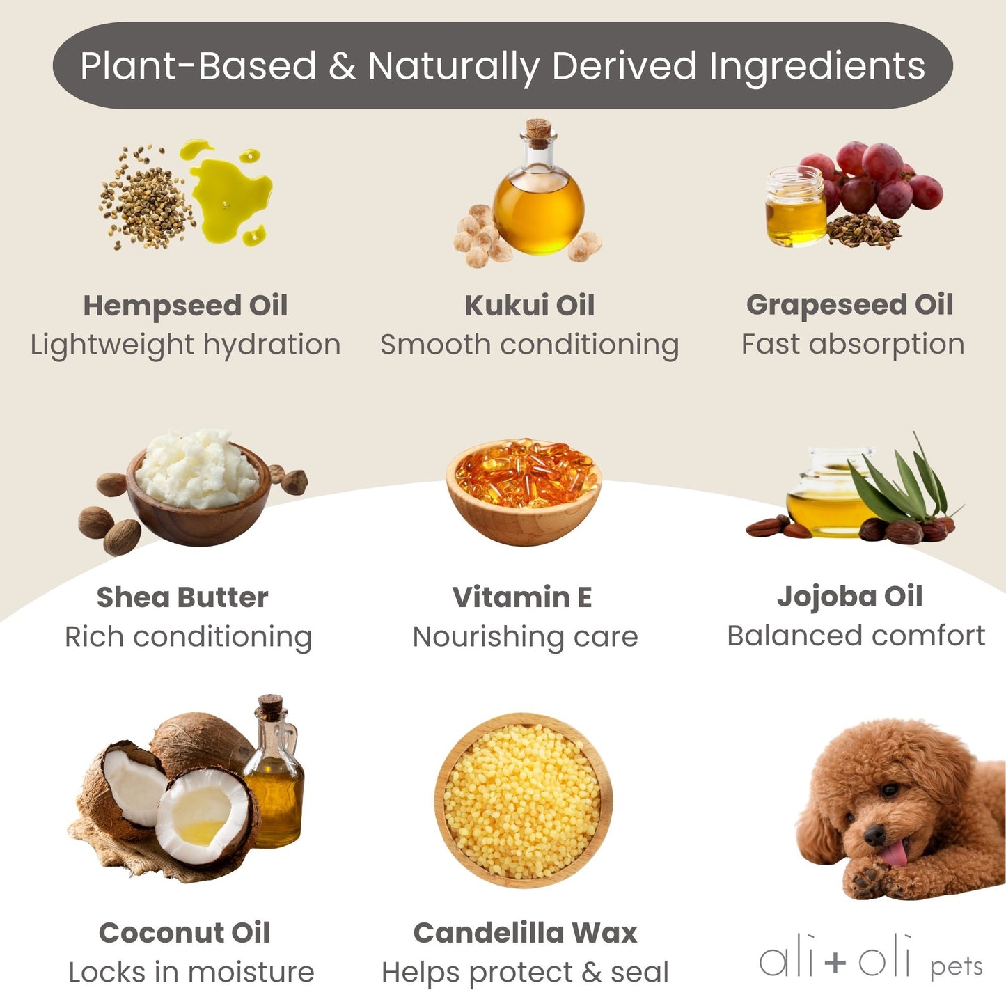 Paw & Nose Balm for Dogs & Cats – Lick-Safe, Plant-Based