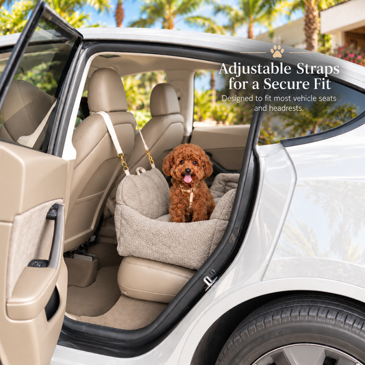 Ali+Oli Pets Comfy Bouclé Dog Car Seat & Travel Bed – Latte