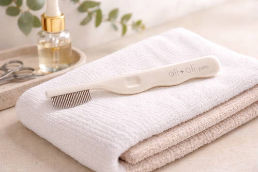 Ali+Oli Pets Long Handle Stainless Steel Face Comb