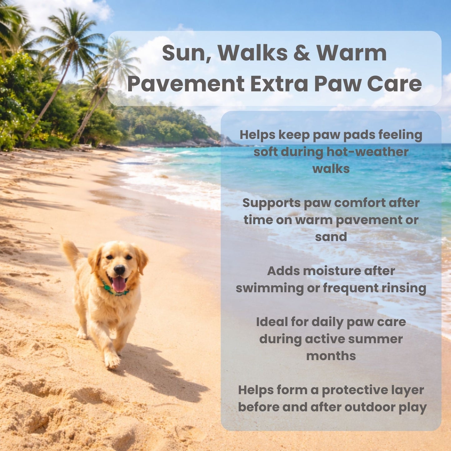 Paw & Nose Balm for Dogs & Cats – Lick-Safe, Plant-Based