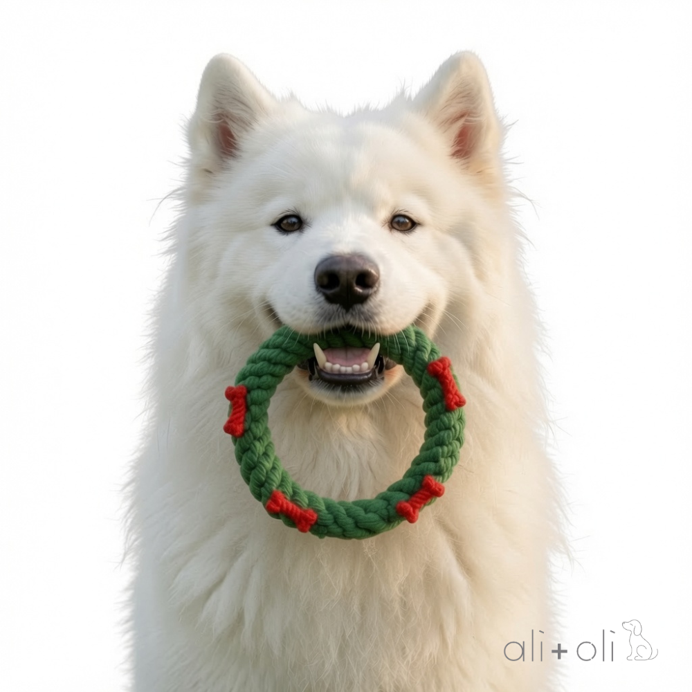 Ali+Oli Pets Christmas Wreath Rope Dog Toy