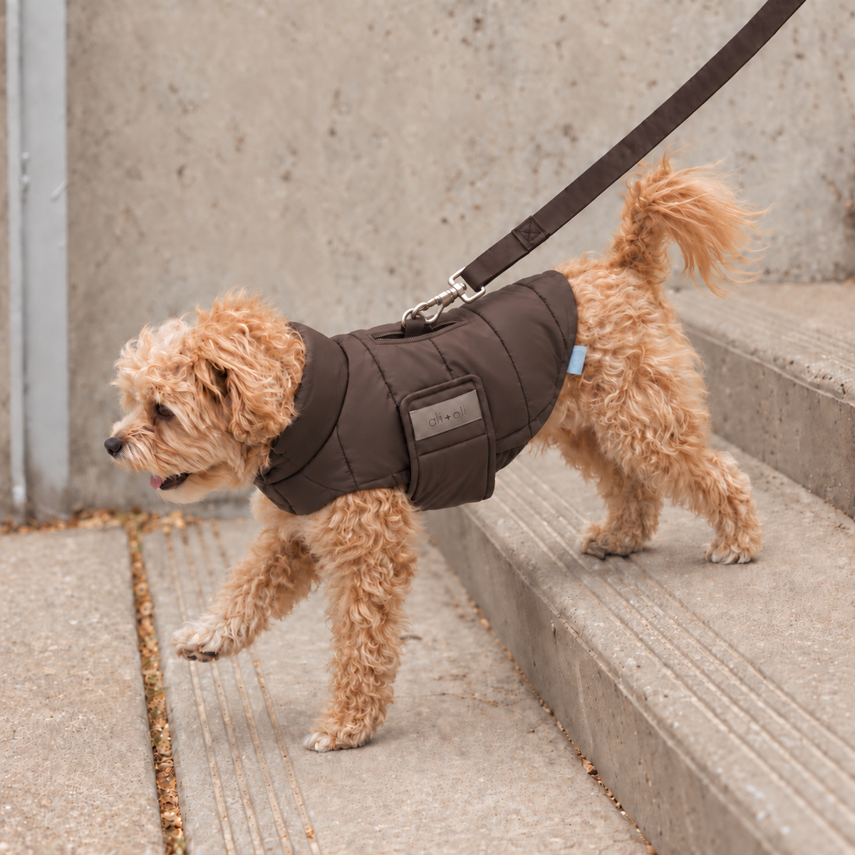 Ali+Oli Pets Insulated Dog Puffer Jacket with Fleece Lining – Chocolate