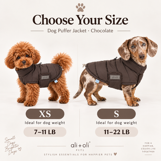 Ali+Oli Pets Insulated Dog Puffer Jacket with Fleece Lining – Chocolate