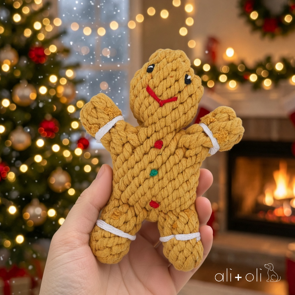 Ali+Oli Pets Christmas Ginger Bread Man Cotton Rope Dog Toy