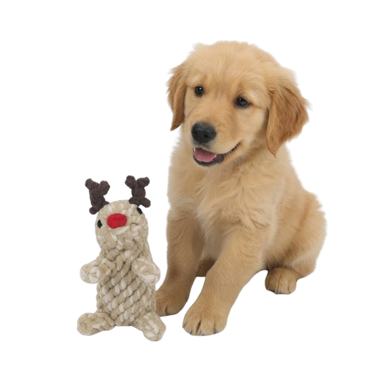 Ali+Oli Pets Christmas Reindeer Cotton Rope Dog Toy for Small Dogs
