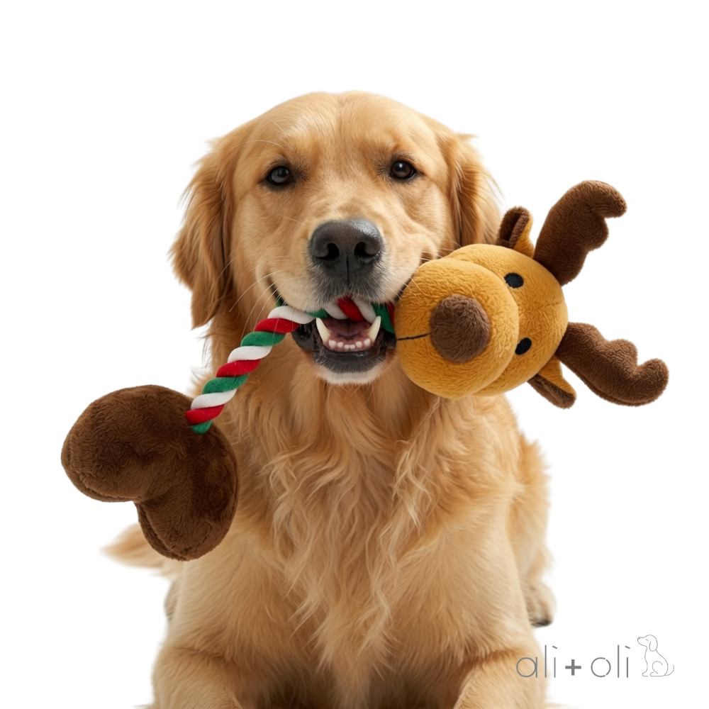 Ali+Oli Pets Christmas Squeaking Reindeer Dog Toy