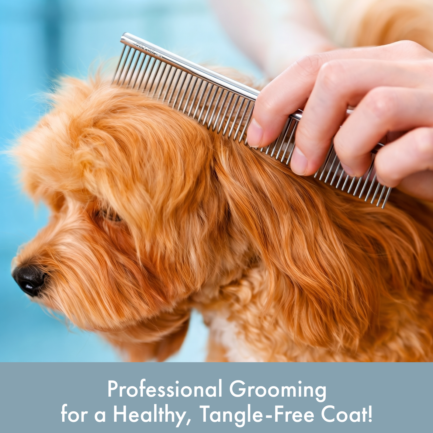 Stainless Steel Pet Grooming Comb for Dogs & Cats