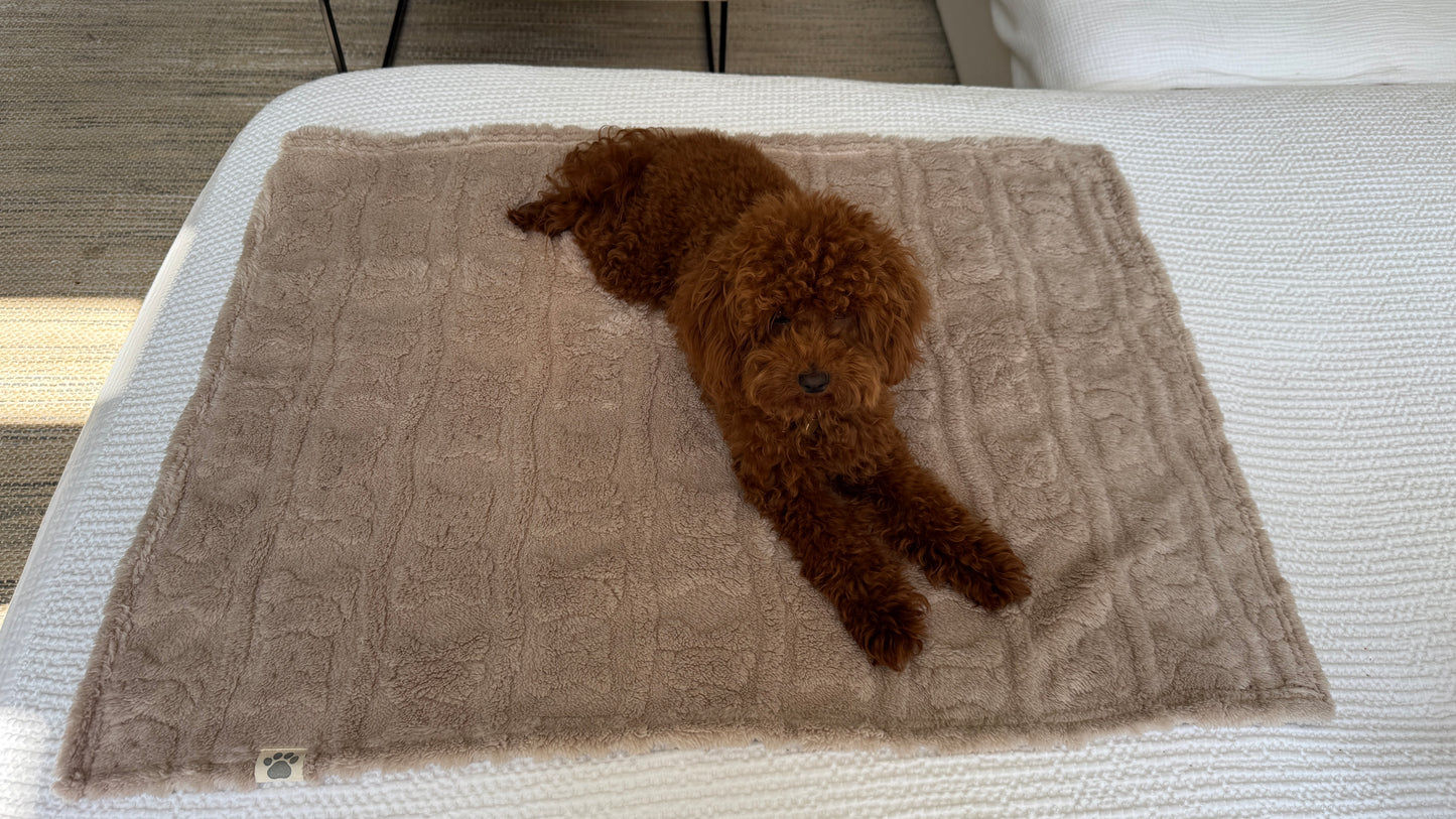 Ali+Oli Pets Ultra-Soft Coral Fleece Dog Blanket (Bears)
