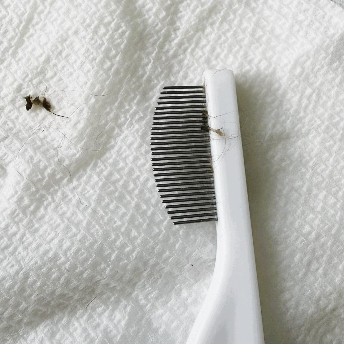 White toothbrush with black bristle head on a white textured surface