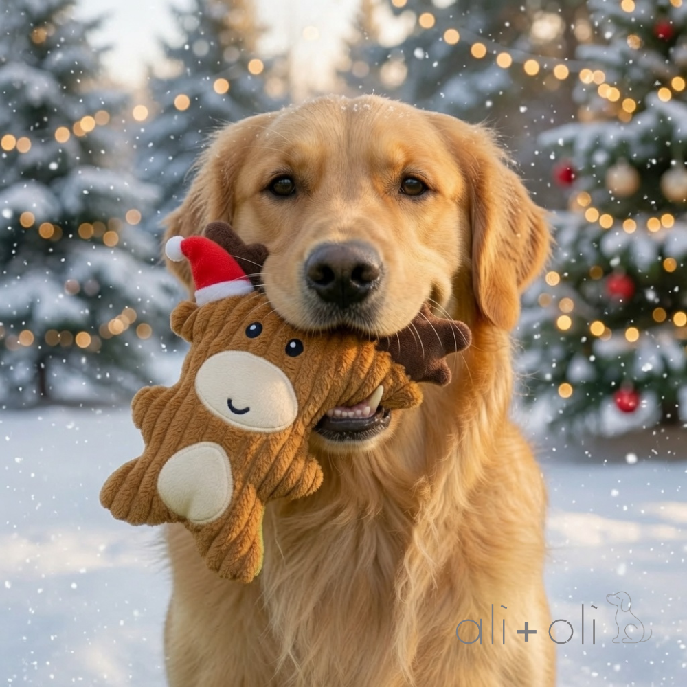 Ali+Oli Pets Christmas Plush Reindeer Squeaking Dog Toy