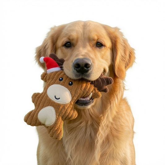 Ali+Oli Pets Christmas Plush Reindeer Squeaking Dog Toy