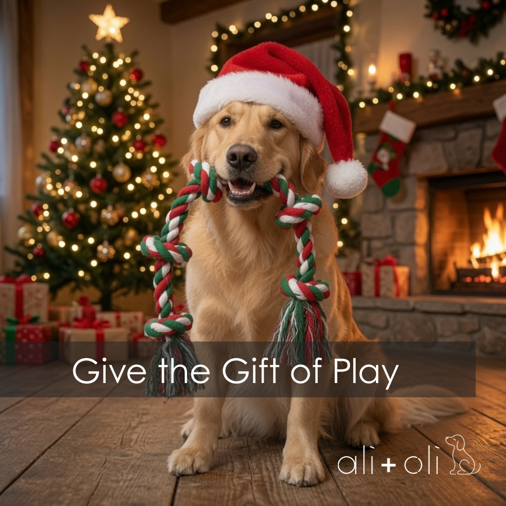 Ali+Oli Pets Christmas Heavy-Duty Tug-of-War Rope Dog Toy