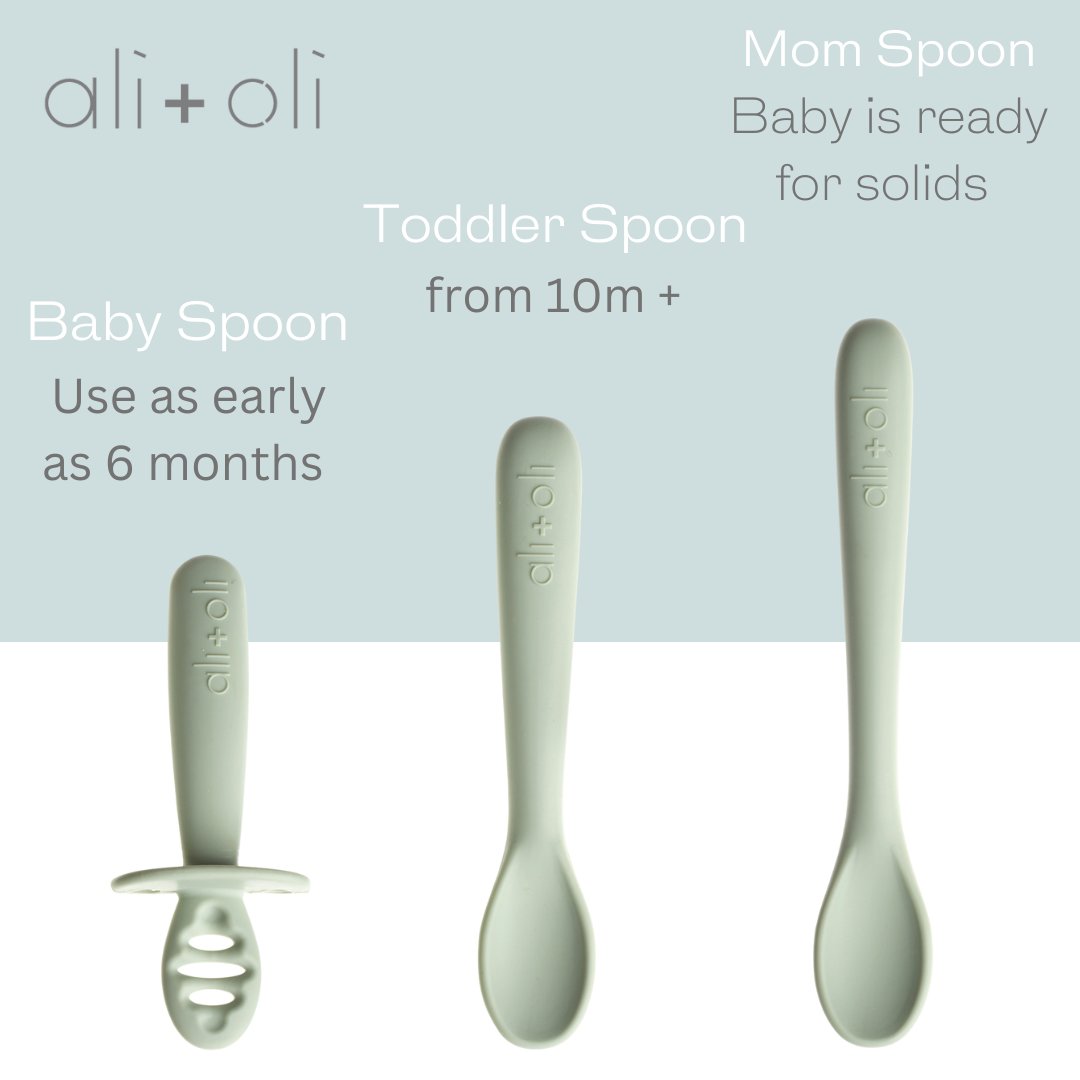 Ali+Oli (3-pc) Multi Stage Spoon Set for Baby (Pine) 6m+